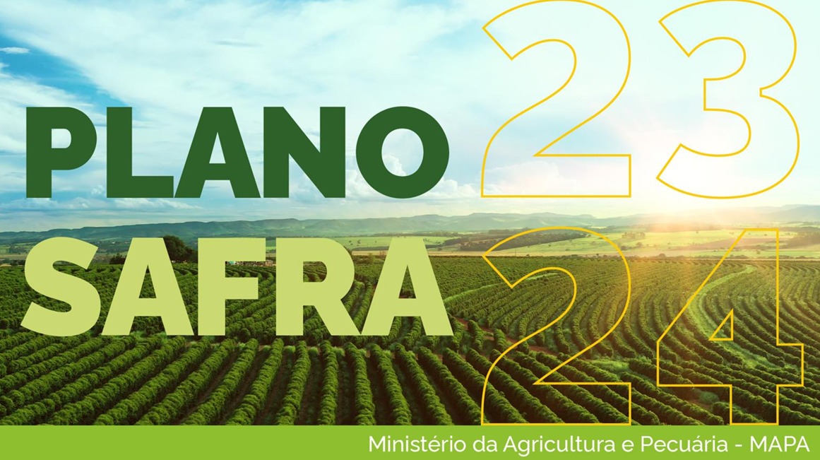 Plano Safra 2024/2025 Quais as perspectivas? cooperativa coopmaf